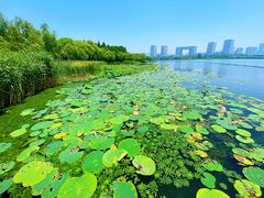 -渤公岛生态公园