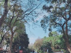 景点-东湖磨山景区