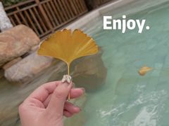 -天目湖涵田半山温泉