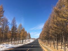 -塞罕坝国家级自然保护区