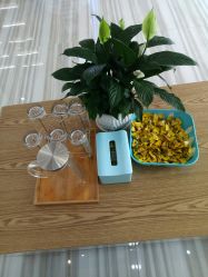 -Dr·ACNE痘院长皮肤管理祛痘连锁