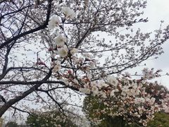 -石湖景区