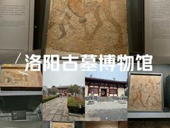 -洛阳古墓博物馆