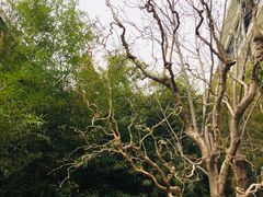 -北京第二实验小学