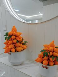 -白月光皮肤管理·德国LDM