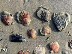 -巧克力渔家.小船海鲜家常菜(万平口店)