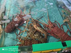 -海蓝海鲜馆(五四北店)