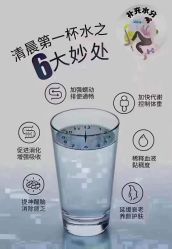-香薇妮丝女子减肥院