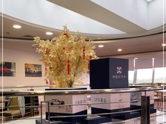 -奔驰上海利星(七宝店)