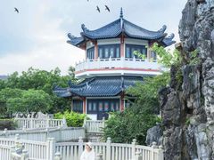 -广东花都湖国家湿地公园