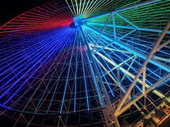 -飞来湖湿地公园