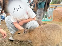 -福州罗源湾海洋世界旅游区