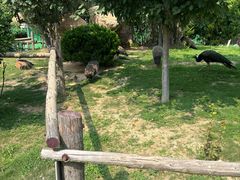 -西霞口神雕山野生动物世界