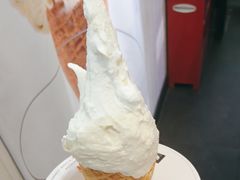 -野人先生现做冰淇淋(北京顺义祥云小镇店)