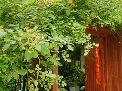 -谷咖啡·鲜花绿植花园餐厅