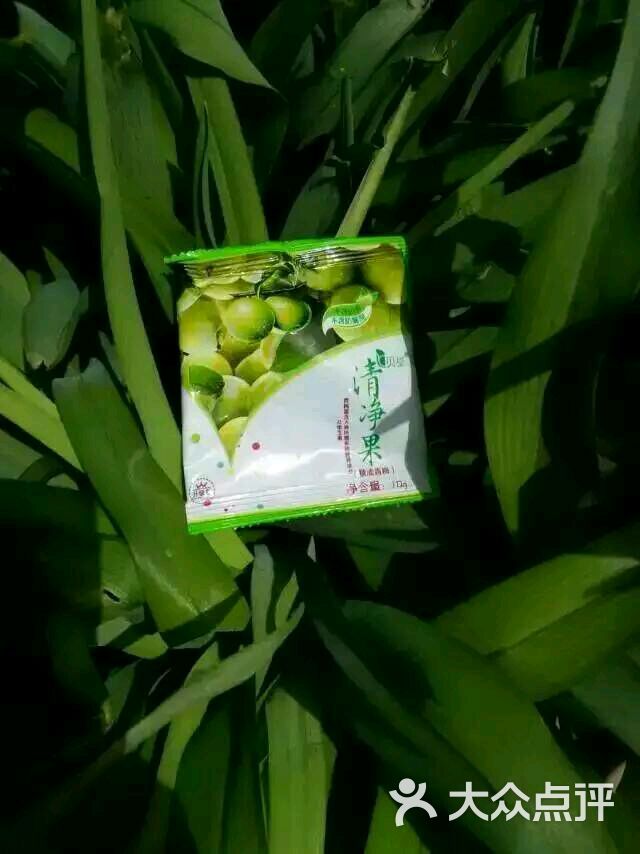 贝基清净果-排毒强于进补图片 - 第8张