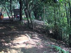 -白云山风景名胜区
