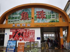 -长洲岛
