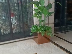 -洛阳宴·洛阳菜(南昌路店)