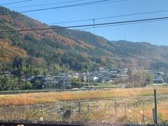 -岚山嵯峨野观光小火车