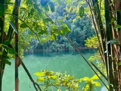 -鼎湖山风景区