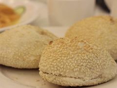 -九花山烤鸭店