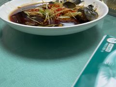 -煲来饱去冷水鱼