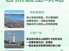-日照海滨国家森林公园