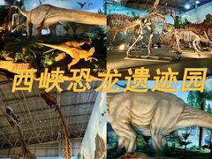 -中国西峡恐龙遗迹园
