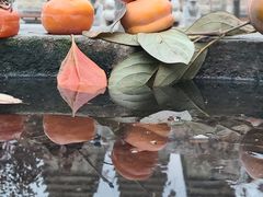 -北京石刻艺术博物馆(五塔寺)