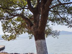 -东钱湖旅游度假区