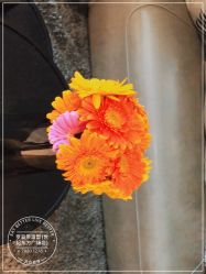 -罗亚帝造型·烫发染发