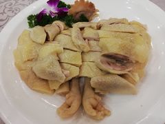 阳山走地鸡-六婶西关小厨(光塔路店)