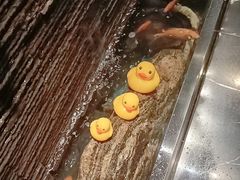 -新盈光·心院(嘉恒广场店)