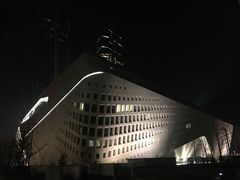-南京眼步行桥