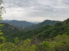 -大岭沟猕猴桃谷风景区