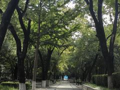 -山东大学(趵突泉校区)