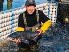 -南京金牛湖风景区