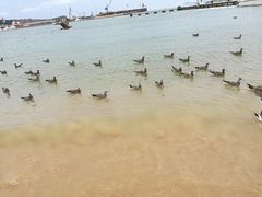 -海驴岛(荣成市)