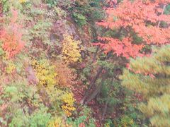 -洛阳白云山景区