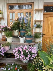 -DORA kids 朵拉儿童摄影花园店