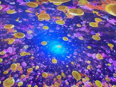 -海合安青岛极地海洋公园