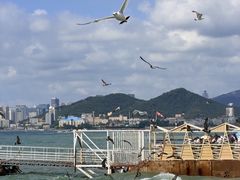 -星海广场