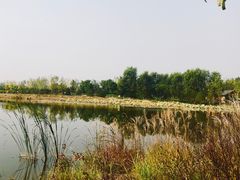-东郊湿地公园