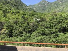 -张明富面皮店(东大街店)