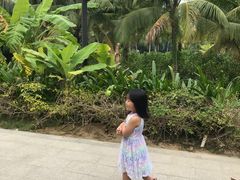 -三亚湾红树林度假世界(木棉酒店)