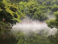 -桃花岛风景旅游区