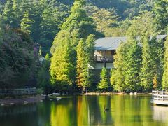 -广州市帽峰山景区
