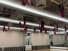-FLARE STAR FITNESS(复地活力城店)