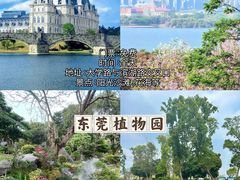 -东莞观音山旅游风景区